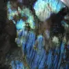 Pierre de Labradorite Polie, Authenticité Madagascar - 6