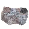 Pyrolusite, Spécimen Authentique sur Matrice - 0