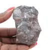 Pyrolusite, Spécimen Authentique sur Matrice - 1