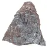Pyrolusite, Spécimen Authentique sur Matrice - 6