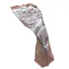 Pyrolusite, Spécimen Mince en Cristaux du Maroc - 0