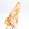 Barytine orange du Maroc, spécimen cristallisé - 1