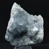Grande Druse de Célestine de Madagascar - 0