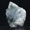 Grande Druse de Célestine de Madagascar - 2