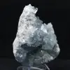 Grande Druse de Célestine de Madagascar - 3