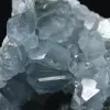 Grande Druse de Célestine de Madagascar - 4