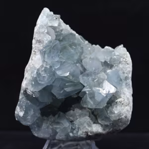 Grande Druse de Célestine de Madagascar