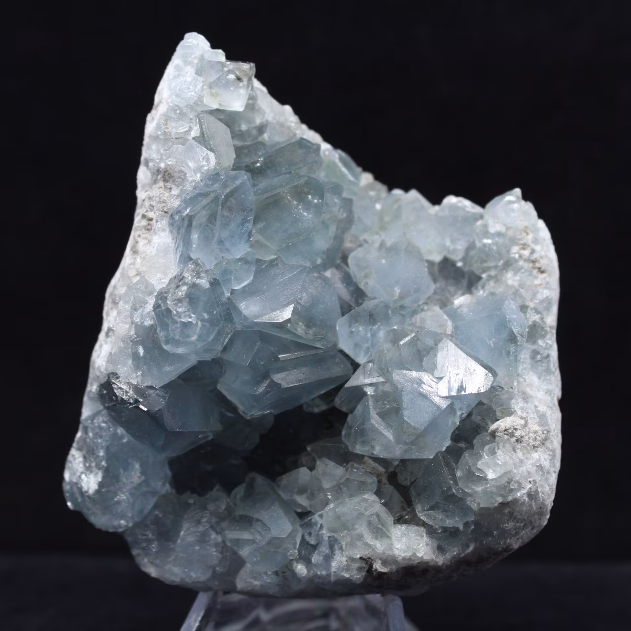 Grande Druse de Célestine de Madagascar