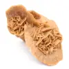 Rose des sables du Maroc : spécimen de cristallisation naturelle - 0