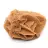 Formation de Rose des sables marocaine : gypse de collection