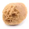 Rose des sables du Maroc : structure cristalline authentique - 0