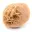 Petite Rose des sables du Maroc : fragment géologique naturel — 3