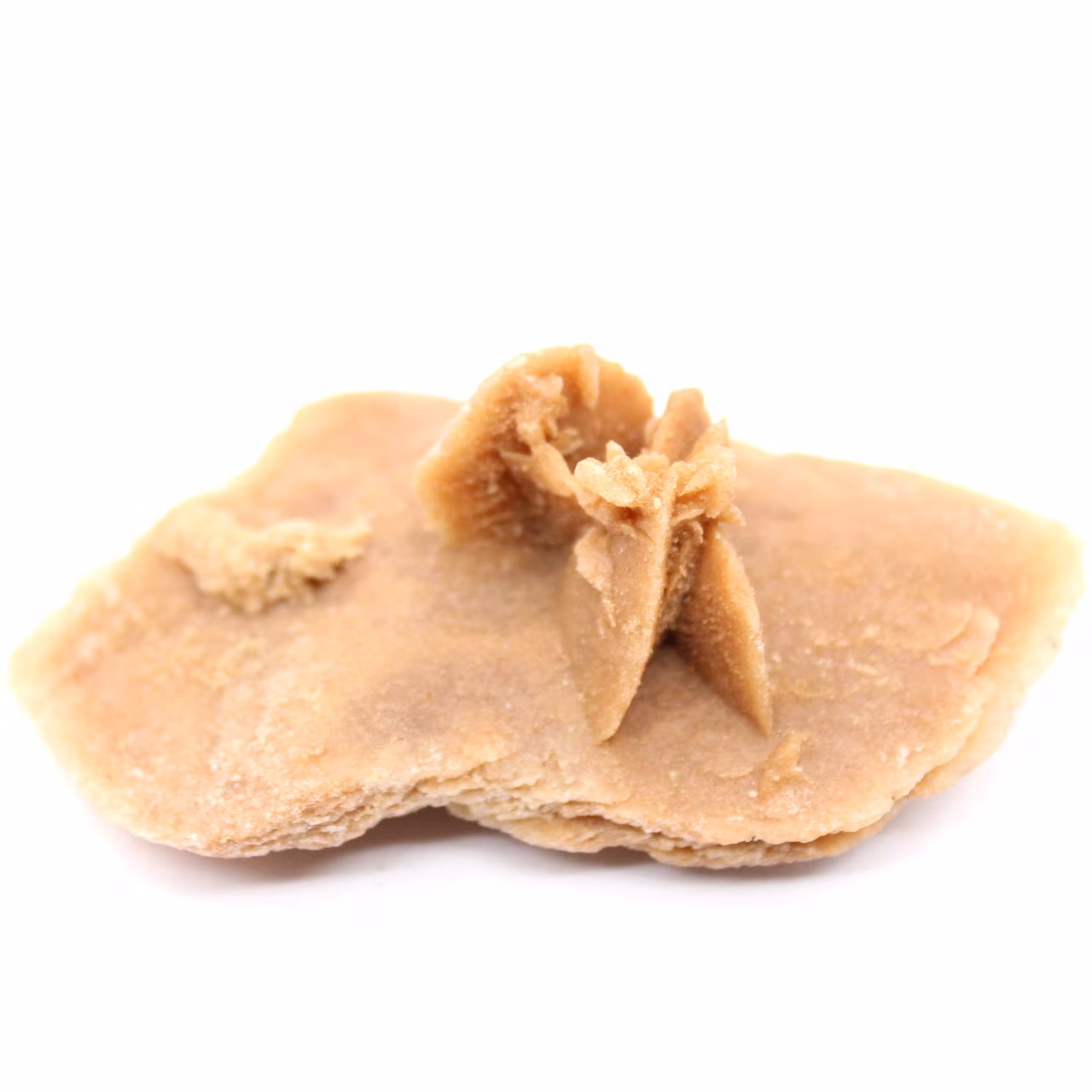 Spécimen de Rose des sables marocaine : géométrie du désert