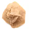 Rosette de gypse du Maroc : cristal naturel du Sahara - 0