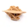 Rosette de gypse du Maroc : cristal naturel du Sahara - 3