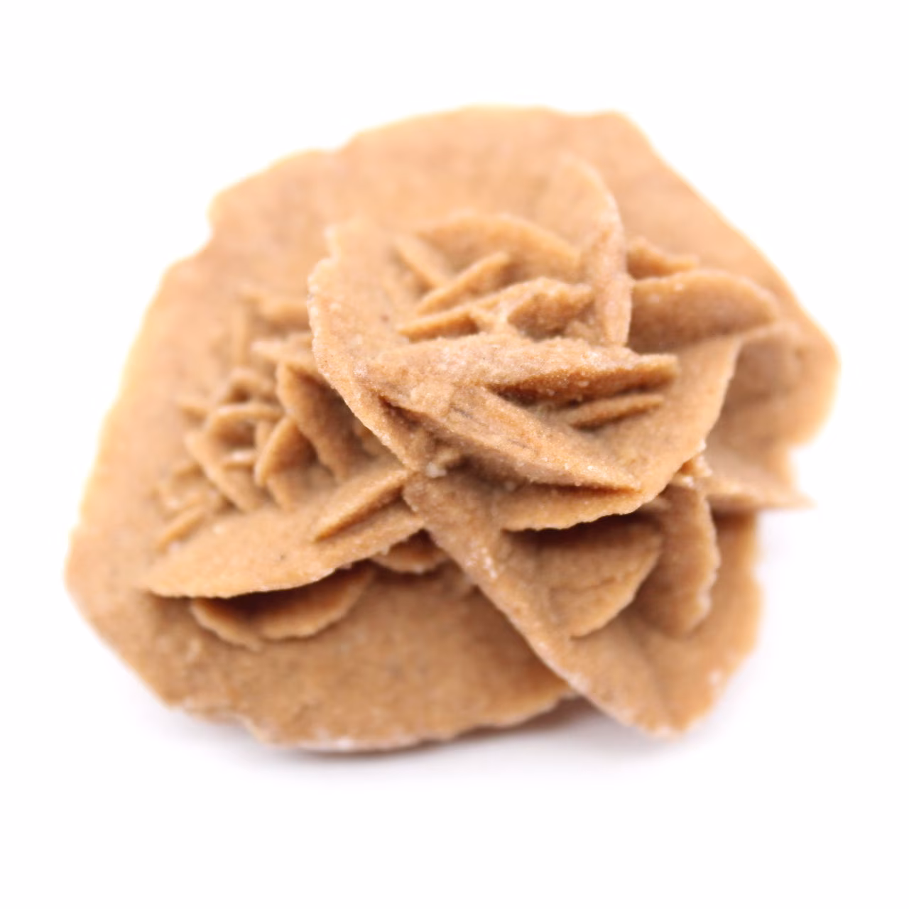Rose des sables marocaine : petite pièce de collection brute
