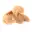 Petite Rose des sables du Maroc : fragment géologique naturel — 7
