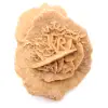 Rose des sables du Maroc : bouquet cristallin de gypse - 0