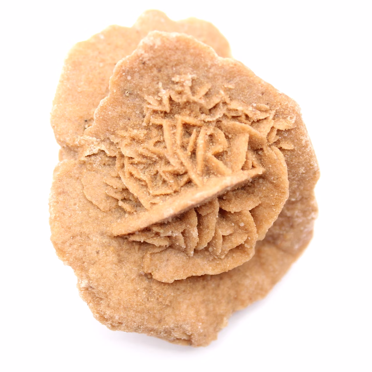 Rose des sables du Maroc : bouquet cristallin de gypse