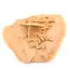 Légère Rose des sables du Maroc : cristallisation fine - 2
