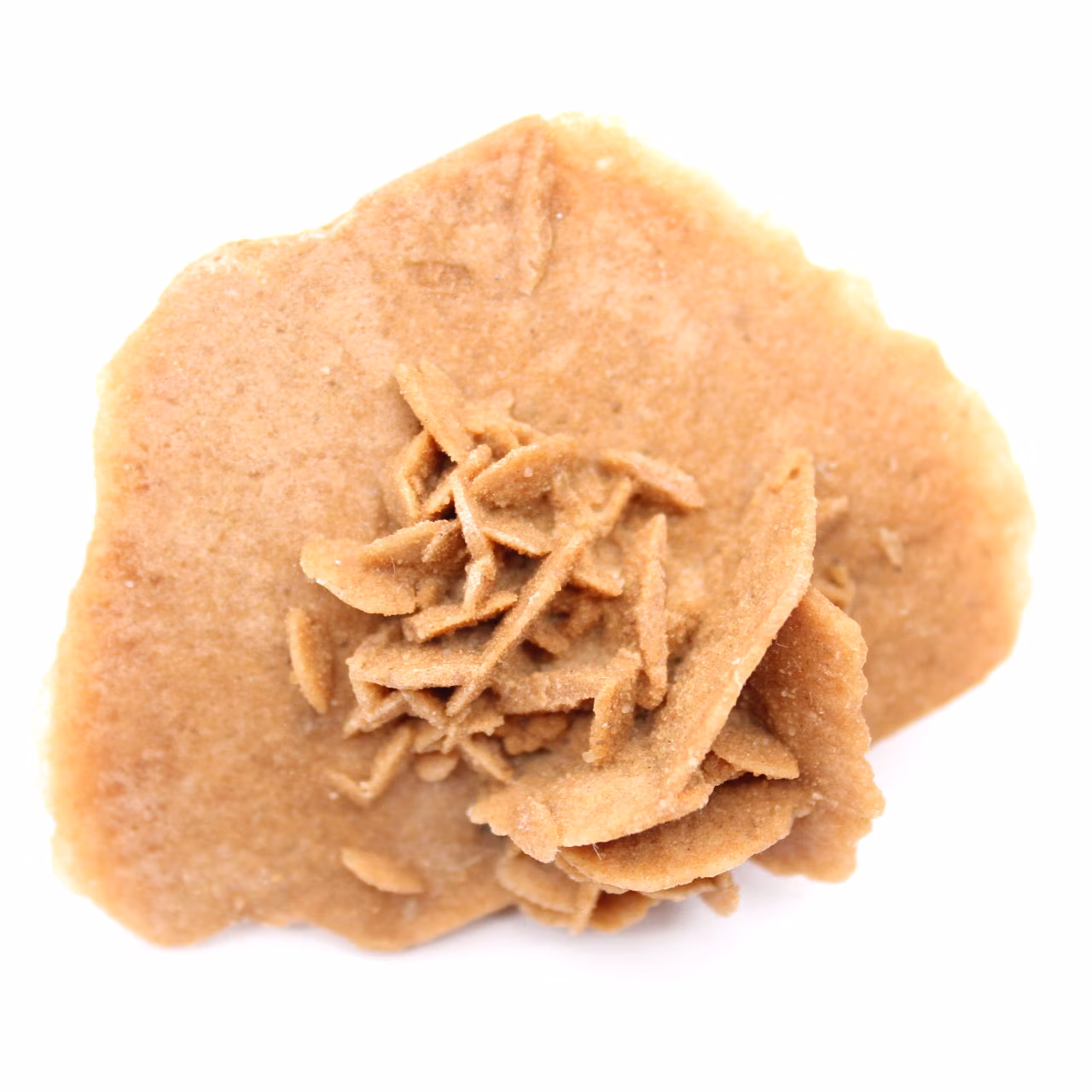 Légère Rose des sables du Maroc : cristallisation fine