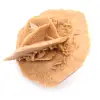 Rose des sables marocaine : gypse naturel et esthétique - 2