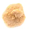 Rose des sables du Maroc : rosette de collection massive - 0