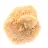 Rose des sables du Maroc : rosette de collection massive