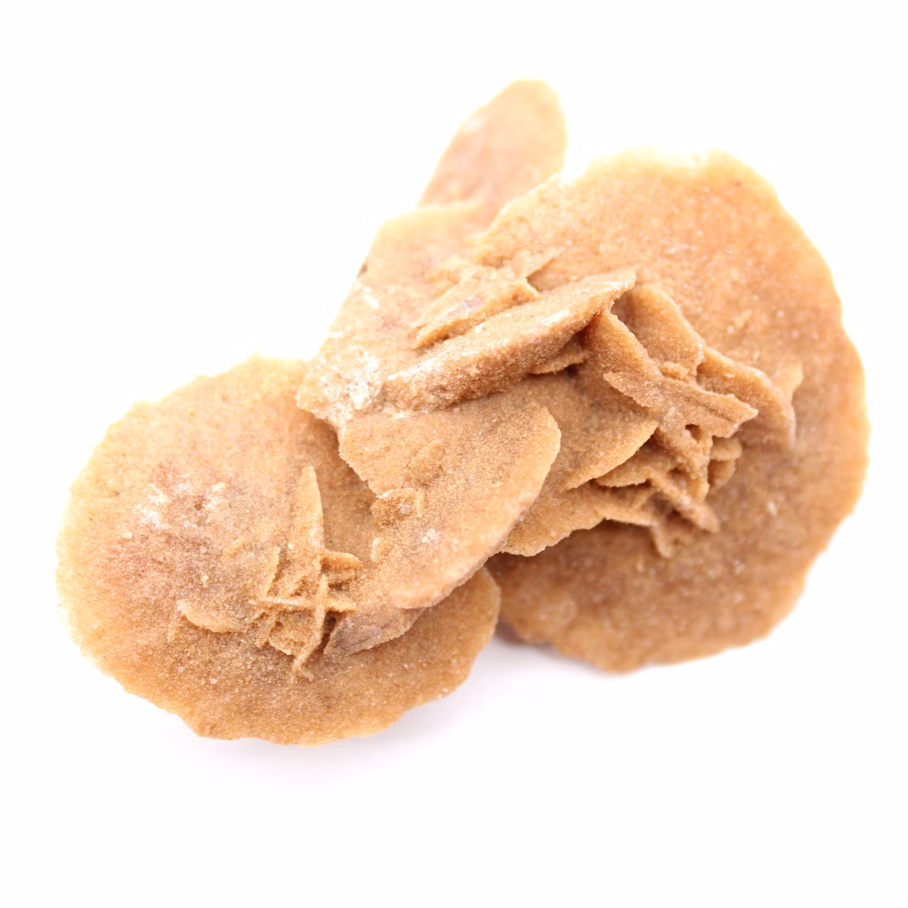 Petite Rose des sables marocaine : éclat du gypse naturel