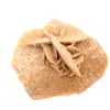 Rosette minérale du Maroc : cristallisation de gypse - 0