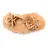 Rose des sables allongée du Maroc : spécimen géologique