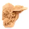 Rose des sables du Maroc : cristal de gypse substantiel - 3
