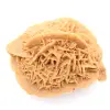 Spécimen de Rose des sables du Maroc : cristallisation dense - 0
