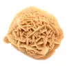 Spécimen de Rose des sables du Maroc : cristallisation dense - 2