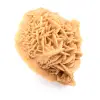 Spécimen de Rose des sables du Maroc : cristallisation dense - 3