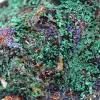 Cristaux Azurite Malachite Maroc - 5