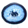 Tranche d’agate bleue du Brésil pour collection minérale - 2