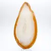 Spécimen d'Agate sédimentaire polie - 1