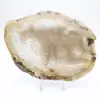 Tranche de géode d'Agate brésilienne - 0