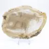 Tranche de géode d'Agate brésilienne - 1