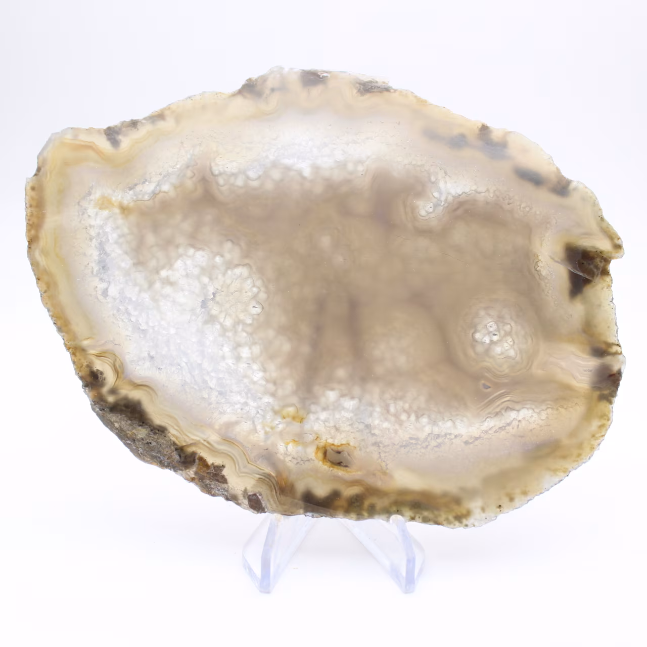 Tranche de géode d'Agate brésilienne