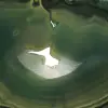 Tranche d'agate verte naturelle – Pièce décorative 250 g - 2