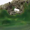 Tranche d'agate verte – Pierre naturelle 225 g, Brésil - 2