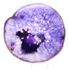Tranche d'Agate Massive du Brésil, Nuances Violettes - 1