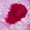 Tranche décorative d’agate teinté rose - 2