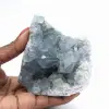 Grande Druse de Célestine de Madagascar - 1
