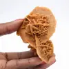 Rose des sables du Maroc : spécimen de cristallisation naturelle - 1