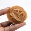 Rose des sables du Maroc : structure cristalline authentique - 1