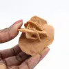 Mini Rose des sables marocaine : spécimen de gypse naturel - 1