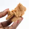 Spécimen de gypse cristallisé : Rose des sables du Maroc - 1